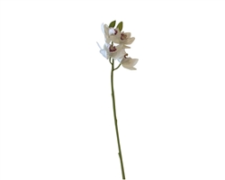 Cimbidium Orchid 30.5 Stem