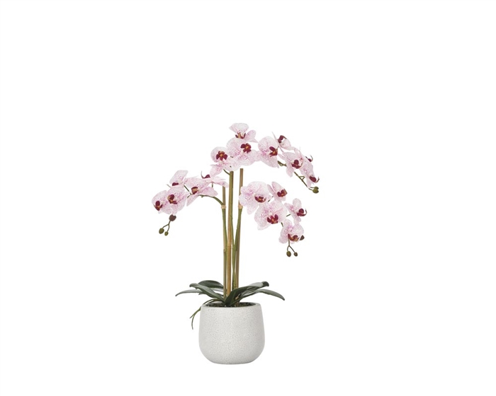 Phalaenopsis Potted 23" Faux Double Stem Orchid - Pink