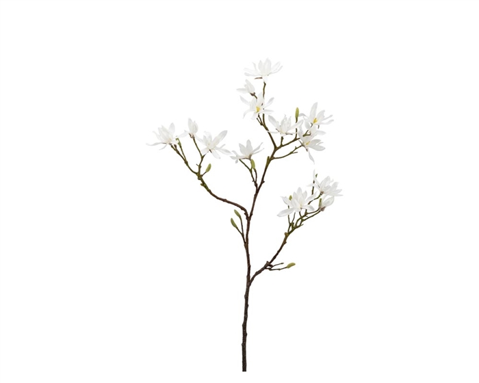 Japanese Magnolia 46L" Faux Multi Bloom Spray Stem - White