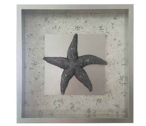 Starfish and Coral Modern Wall Accessory