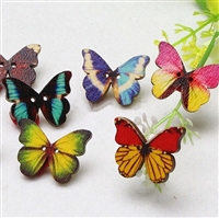 Wooden Butterfly Buttons