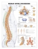 Patterson Medical 550816