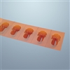 HCL 7006 Class B 6-Month Dating Amber Keyhole Blisters