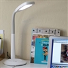 LS&S 401100 Natural Daylight LED Flex Desk Lamp OttLite