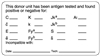 United Ad Label ULBX311 Antigen Testing Label, 3" x 1-5/8"