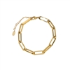 Gold Long Links Bracelet