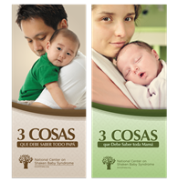 Mom and Dad Brochure Bundle - SPANISH