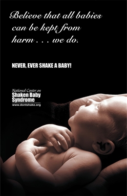 Never Shake A Baby Poster 8x10 (SOLD OUT!)