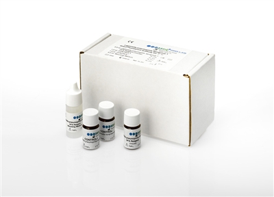 L. pneumophila serogroup 1-14 DFA Kit