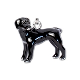 dog key chain