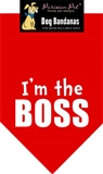 im the boss bandana