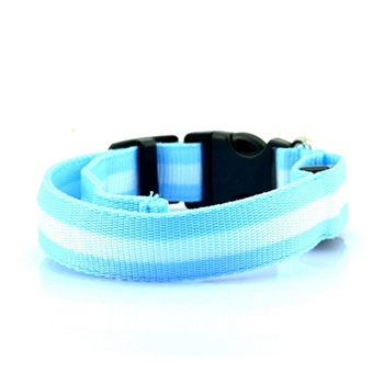 led collar blue