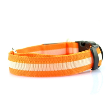 led collar orange