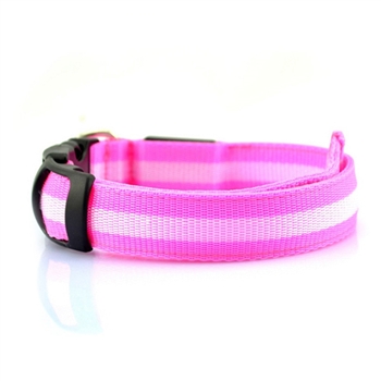 led collar pink