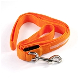 led lead orange