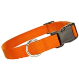 nylon collar orange