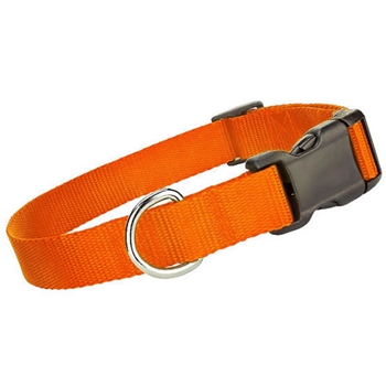 nylon collar orange