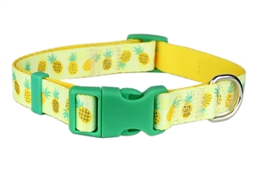 Pineapples Collar