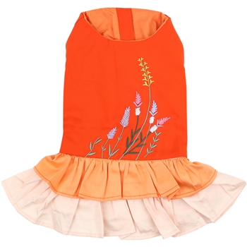 Color Block Garden Dress dog shirt