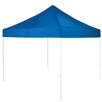 Instant Canopy 10 ft x 10 ft Blue