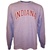 LONGSLEEVE Grey Arched INDIANA T-Shirt