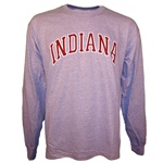 LONGSLEEVE Grey Arched INDIANA T-Shirt