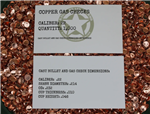 22 Cal Copper Gas Check