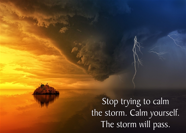STOP TRYING TO CALM THE STORM