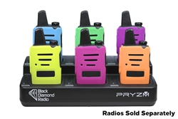 Pryzm 6 Bank Charger
