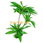 Aquarium Ornament Plastic Plants  4332