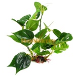 Aquarium Ornament Plastic Plants 1230