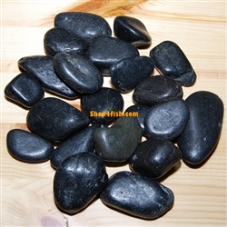 30 lbs Black Polished River Pebble Stone 2"-3"