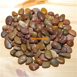30 lbs Red Polished River Pebble Stone 0.5"-0.8"