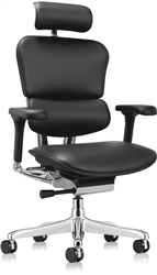 Ergohuman Office Chair