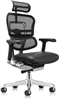 Ergohuman Office Chair