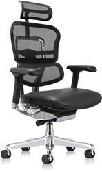Ergohuman Office Chair