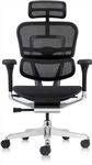 Ergohuman Office Chair