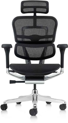 Ergohuman Office Chair
