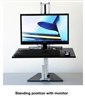 Wallaby Junior Sit Stand Desk