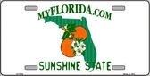 Florida Blank License Plate Vinyl Cricut Pazzles