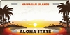 Hawaii Blank License Plate Vinyl Cricut Pazzles