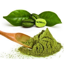 Green Coffee Powder