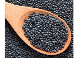 BLACK BELUGA LENTILS 16 OZ