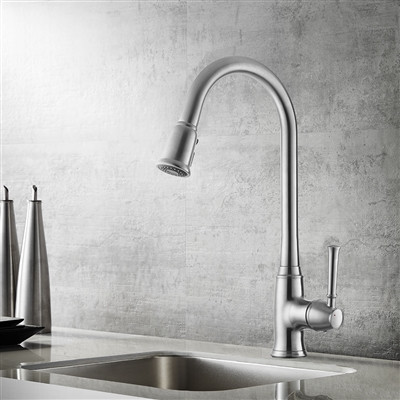Vinnova Bayberry Single-Lever Pull-Out Kitchen Faucet