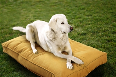 SunbrellaÂ® Indoor/Outdoor Double Sided Dog Bed with Washable Cover  by Austin Horn Classics