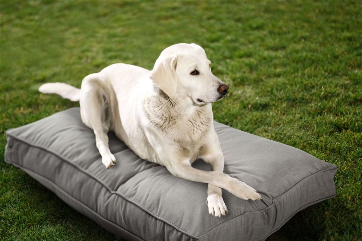 Sunbrella® Indoor/Outdoor Double Sided Dog Bed with Washable Cover by  Austin Horn Classics