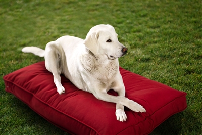 SunbrellaÂ® Indoor/Outdoor Double Sided Dog Bed with Washable Cover  by Austin Horn Classics