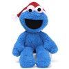 Sesame Street | Cookie Monster Take-Along Buddy 4029356 | GUND