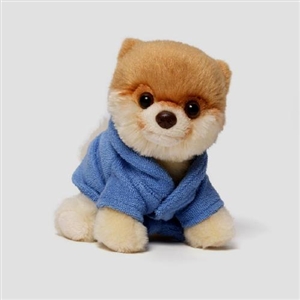 Itty Bitty Boo 12 Bathrobe - World's Cutest Dog