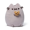 Pusheen With Cookie